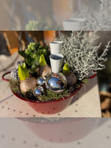 Christmas Bowl (Indoor-Outdoor)