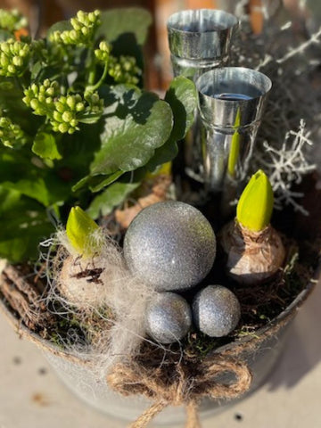 Christmas Natural Bowl (Indoor-Outdoor)