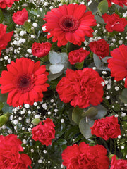 Carnation and Germini Teardrop Spray Red