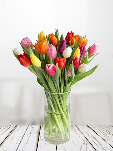 Mixed Tulip Vase